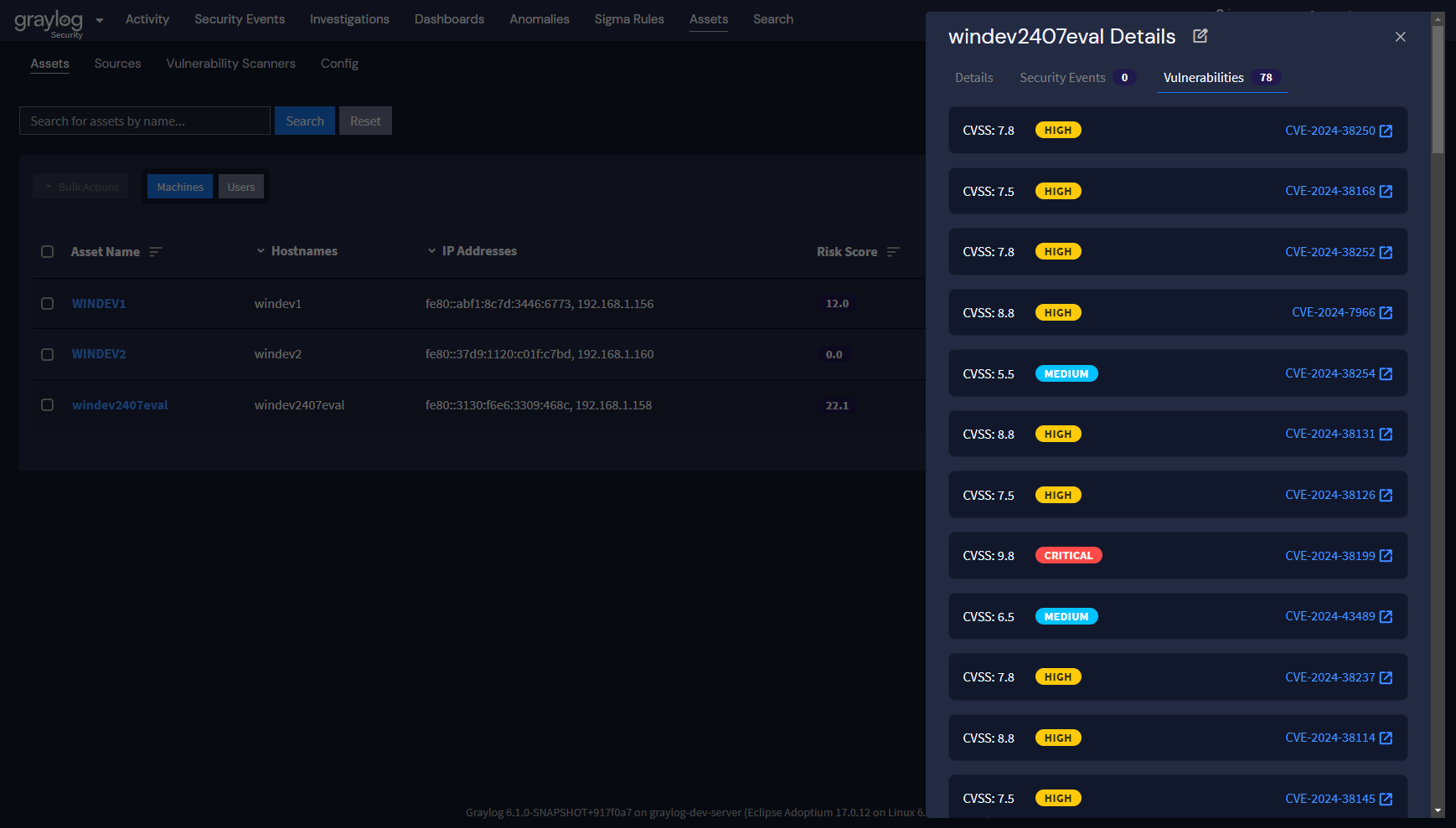 Asset Vulnerability Detail View for Assessing and Prioritizing Risk