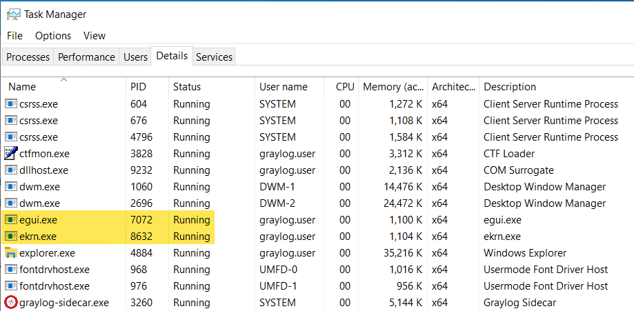 Running processes for Mustang Panda’s Use of MAVInject
